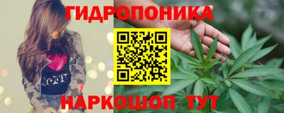 трава Долгопрудный