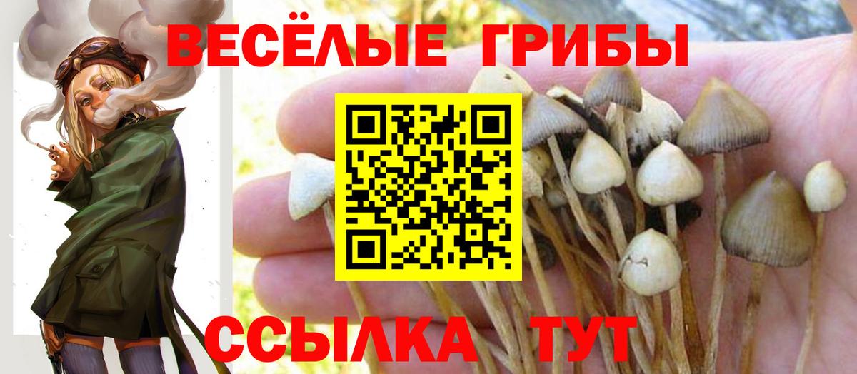 наркотики  Псилоцибиновые грибы GOLDEN TEACHER  Вход с VPN  Осинники 